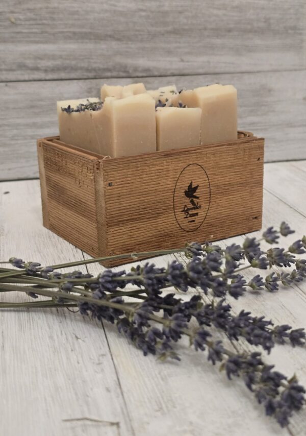 Lavender Goat Milk Soap Gift Set-3