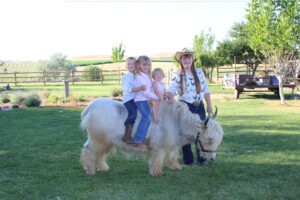 0b671ea2-9832-4a56-b9cf-3c1ee8f58e99