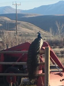 158573611_192830072634302_5097677999228624386_n