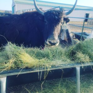 IMG_20220504_225557_413