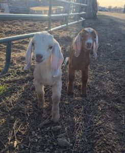 abcc7b3b-e567-4fad-b49d-26e8b82fc410