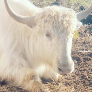 IMG_20220504_225518_077